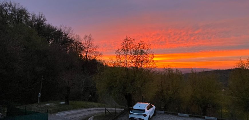 Appartamento indipendente con giardino privato Appartamento indipendente con giardino privato