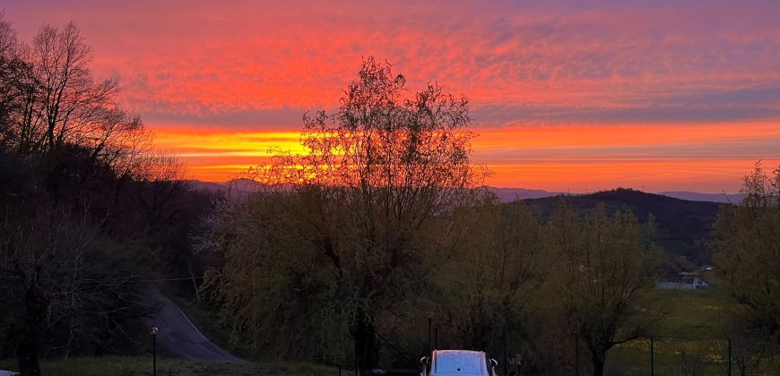 Appartamento indipendente con giardino privato Appartamento indipendente con giardino privato